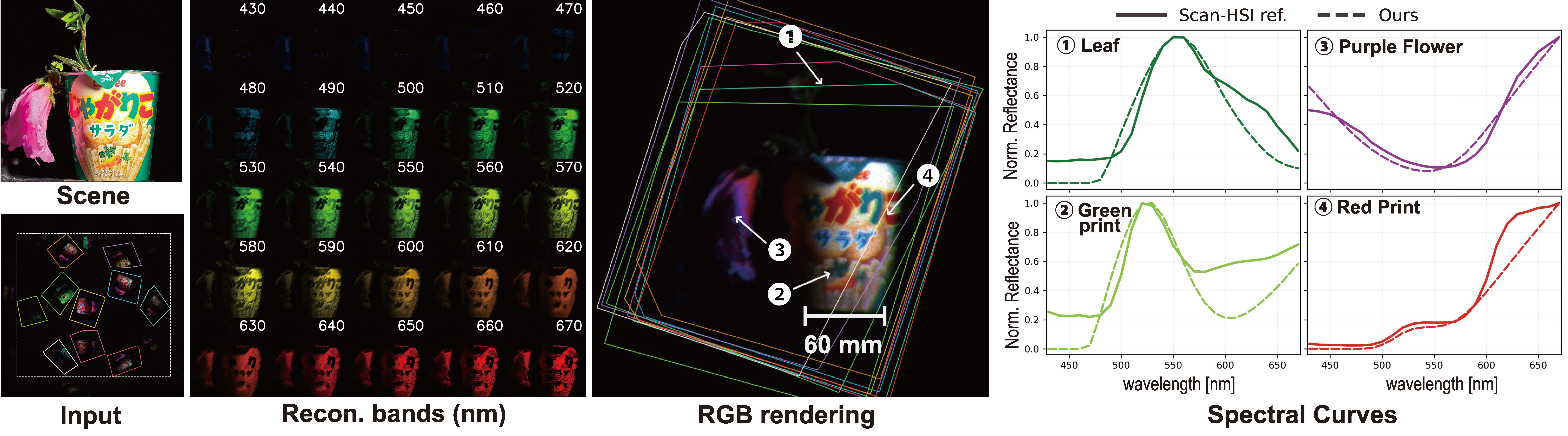 Real-scene 25-band hyperspectral reconstruction
